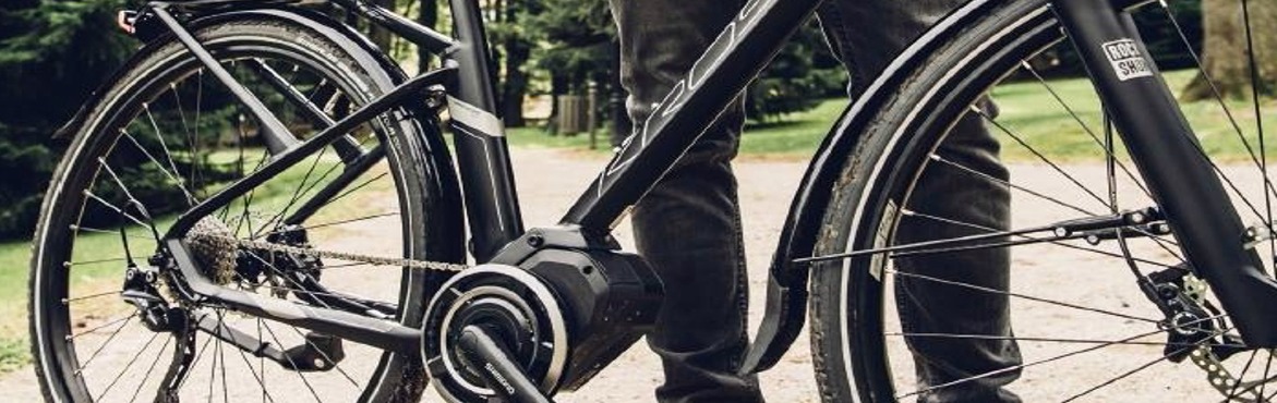 Especialista en bicicletas eléctricas